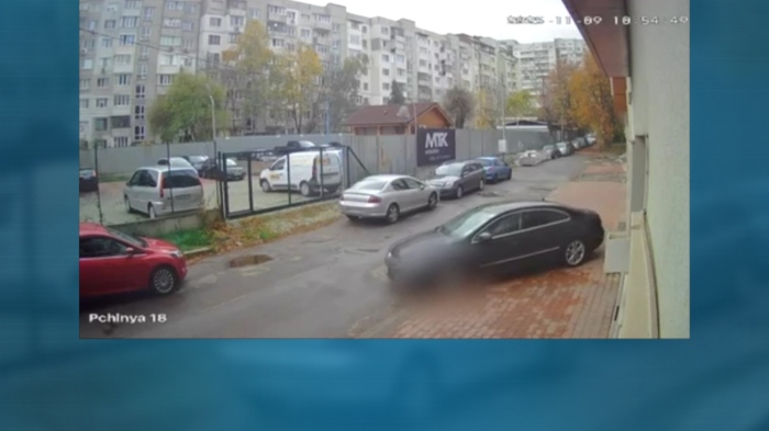 Хладнокръвно: Хирург от ВМА прегази куче в София