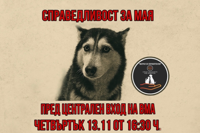 Организират протест за кучето Мая, прокуратурата образува досъдебно производство