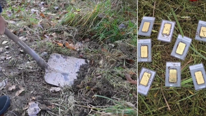 Треска за злато в Германия: Mъж откри златни кюлчета, докато коси в двора си