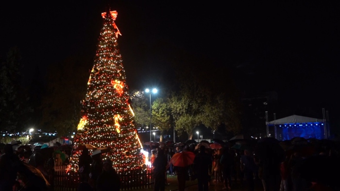 Запалиха светлините на Коледната елха в Монтана