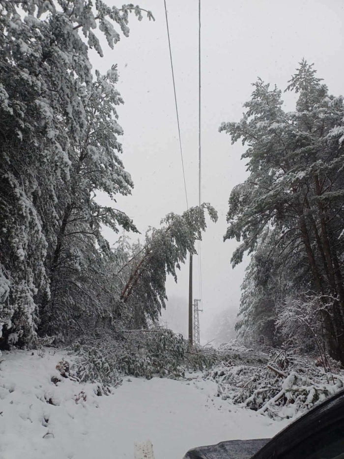 Становище на \"ЕРМ Запад\"