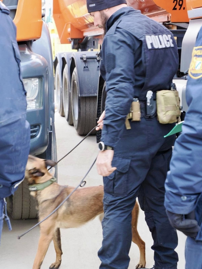 Четириног агент надушва фалшиви пари: Белгийска овчарка ще помага на ГДБОП