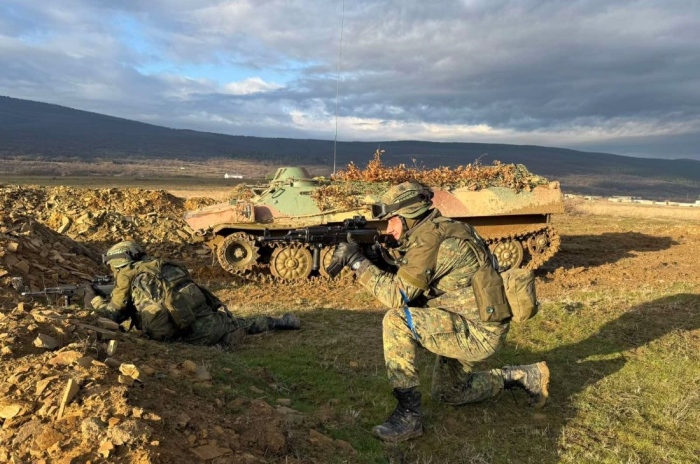Формирование от Сухопътните войски беше сертифицирано за участие в Многонационалната бойна група на територията на страната