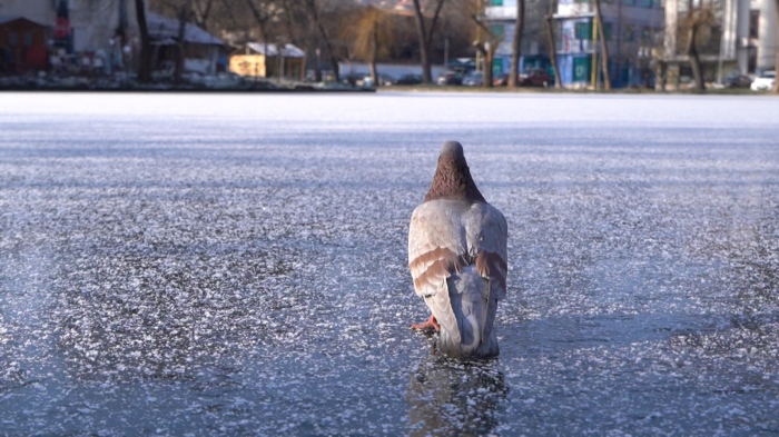 Януарски студ: Замръзна езерото Монтанезиум в Монтана