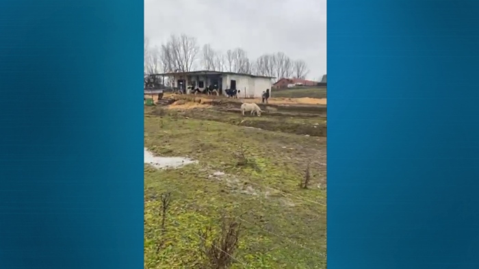 Заради спорен имот в Лиляче: Напрежение в местния парламент във Враца