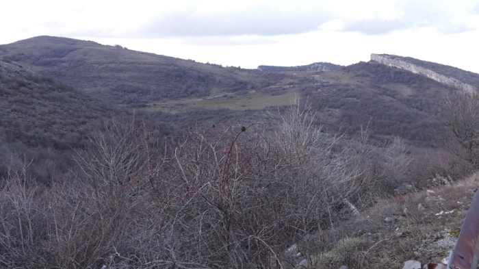 След като пастир откри издирваните край Околчица - жителите на Згориград разполагат с такива имоти