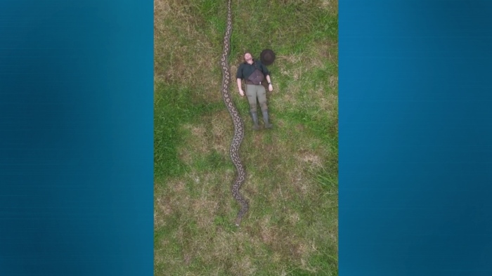 Откриха най-дългата дива змия в света