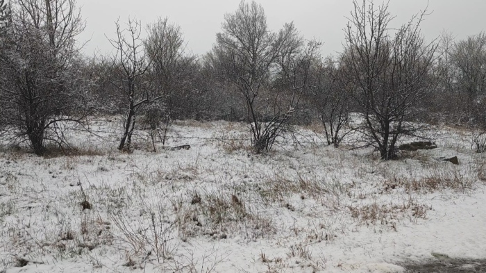 Мартенски сняг покри и Перник: Хората притеснени, че ще измръзнат овощните им градини